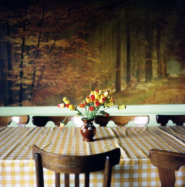 photographie, couleurs, intérieur, bouquet de roses sur une table